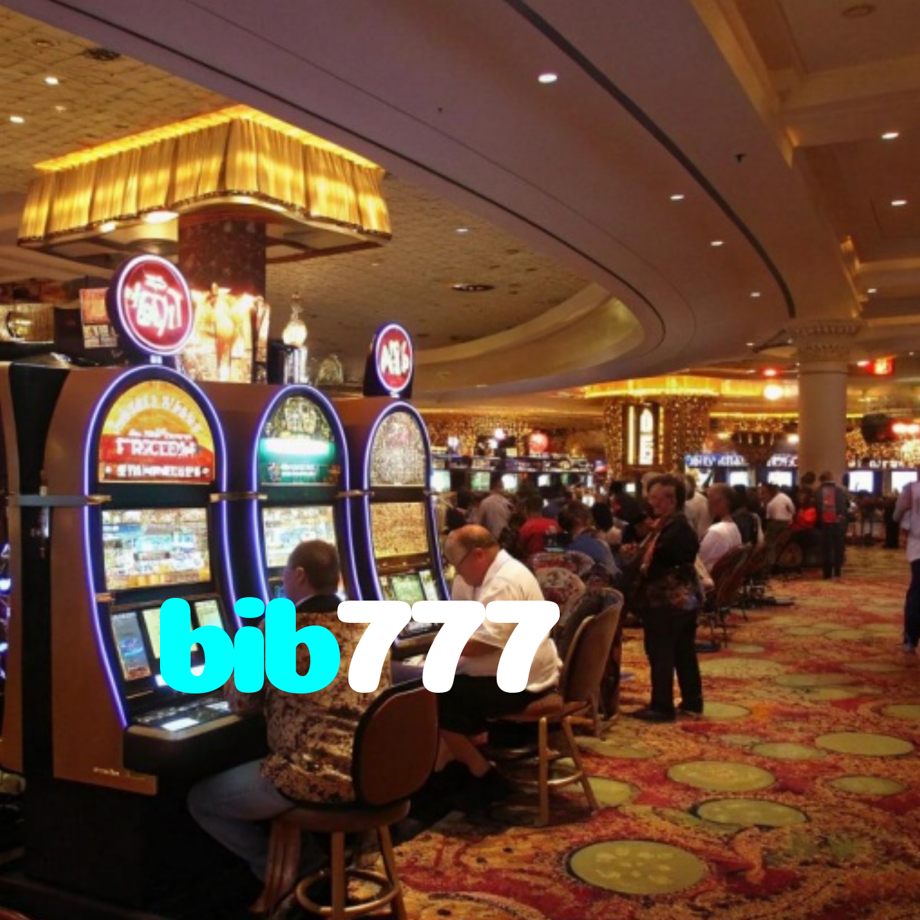 bib777